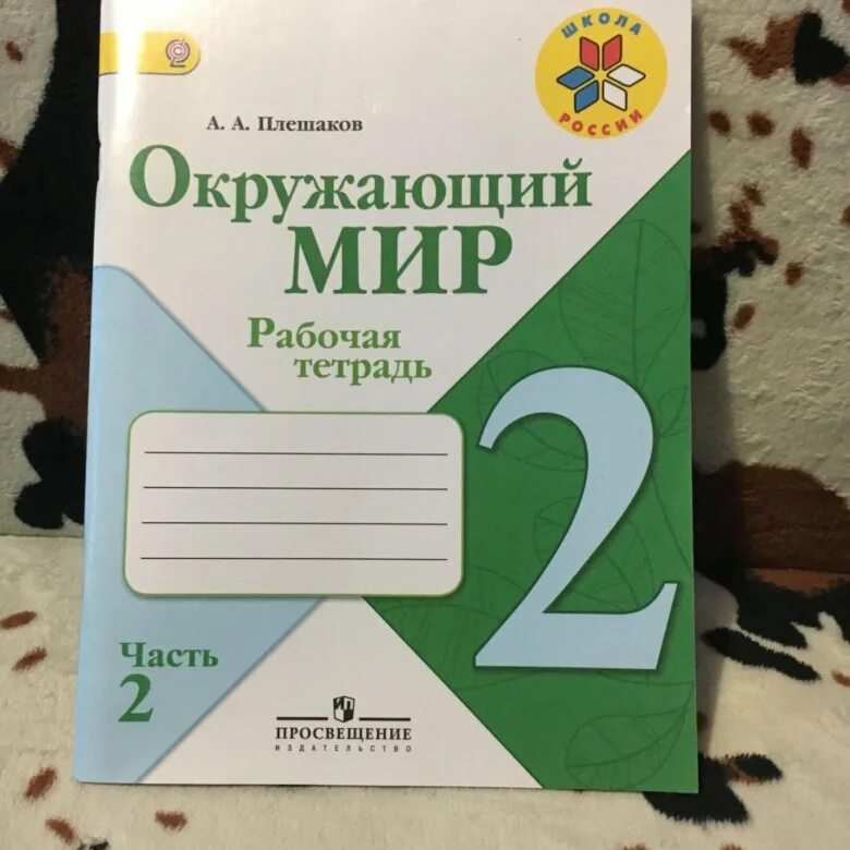 Окружающий мир рабочая тетрадь. Окружающий Плешаков рабочая тетрадь. Рабочая тетрадь окр мир Плешаков. Плешаков рабочая тетрадь 2 класс.