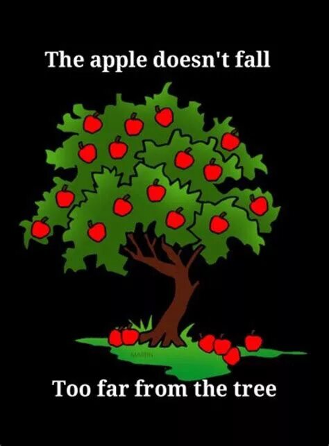 The Apple never Falls far from the Tree. The Apple doesn’t Fall far from the Tree. “The Apple never Falls far from the Tree” means … .. Far from the Tree.