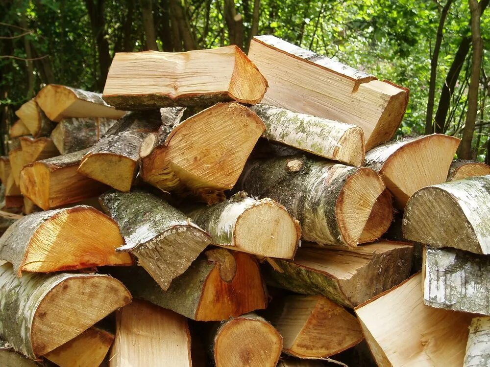 Log external