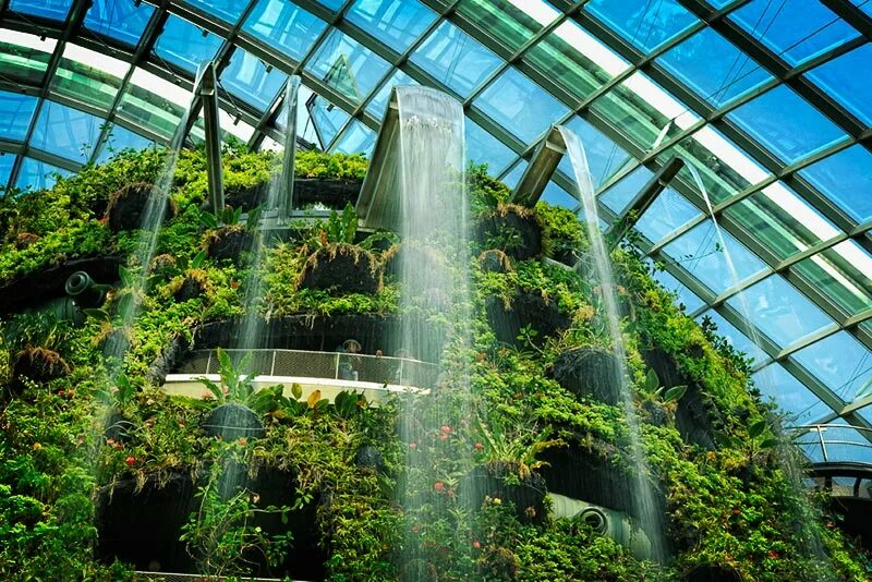 Планета теплиц. Сады у залива Сингапур зимний сад. Сингапур оранжерея cloud Forest. Сингапур Ботанический сад. Ботанический оранжерея Сингапур.