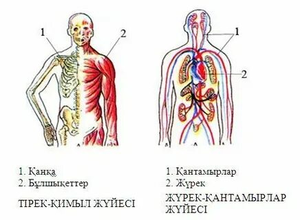 Сосновоборск секс танысу