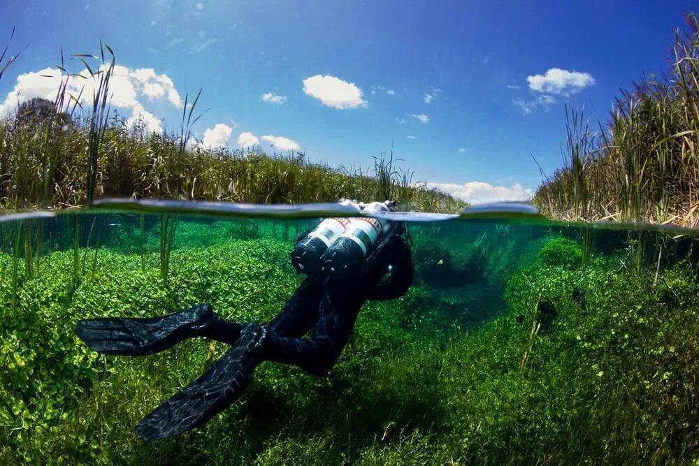 Уникальные реки. Пруды Пикканинни, Австралия. Озеро Масюко Япония. Чистые пруды озеро. Прозрачное озеро.