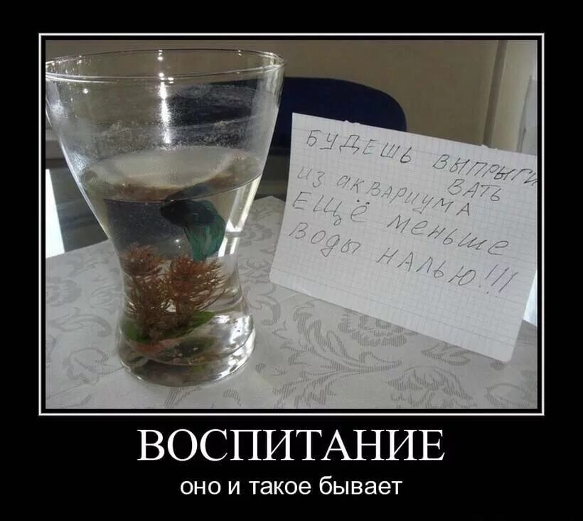 Такого не бывает