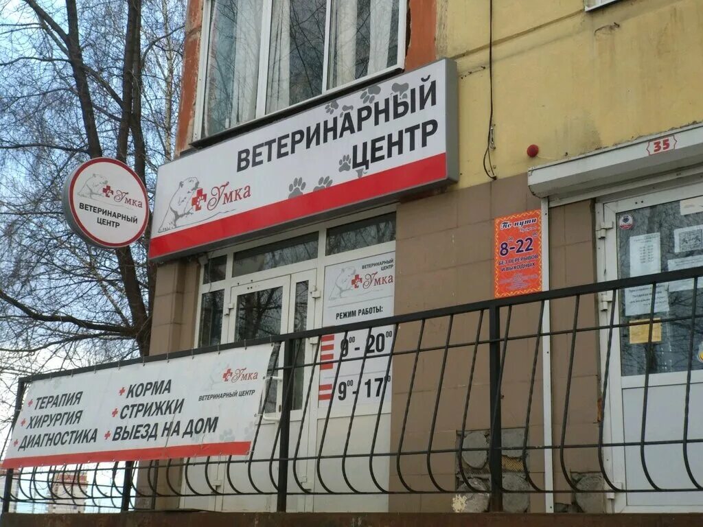Режим работы ветеринарной клиники ижевск. Режим работы ветаптеки. Молодёжная 34 ижевск ветклиника. Режим работы ветеринарной клиники ижевск. Гуфи ветклиника ижевск.