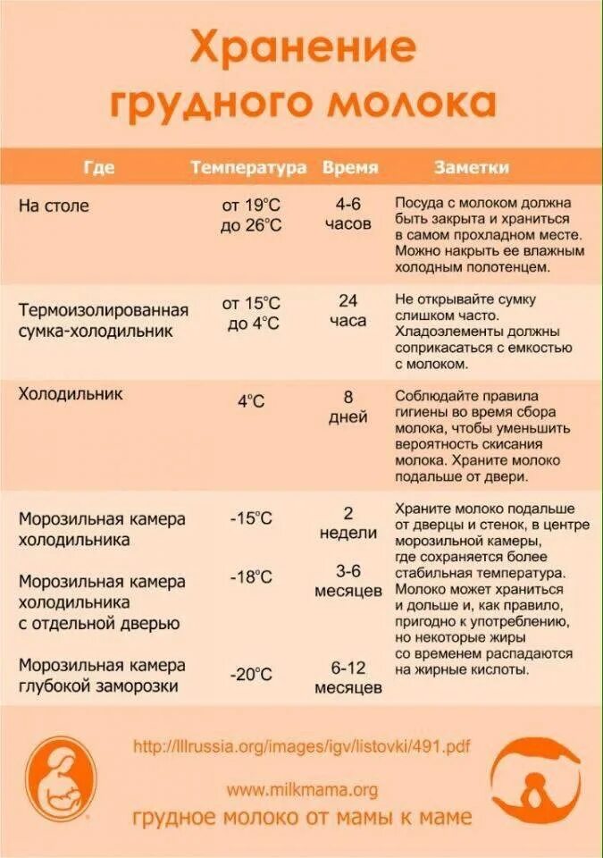 Сроки хранения грудного молока в холодильнике в бутылочке. Хранение сцеженного грудного молока в бутылочке. Сроки хранения грудного молока при комнатной температуре в бутылочке. Сколько времени можно хранить грудное молоко в бутылочке.