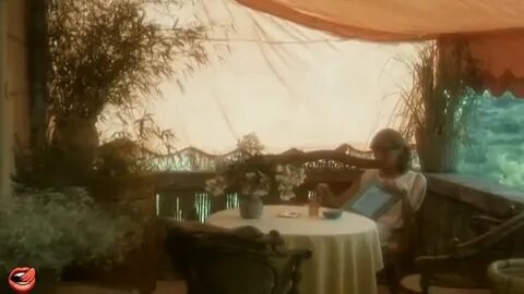 Les ombres de l ete 1979