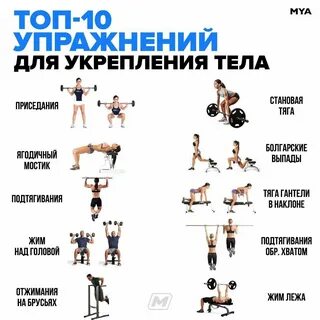 Strenght Training, Strength Training Workouts, Resistance Training, Bodywei...
