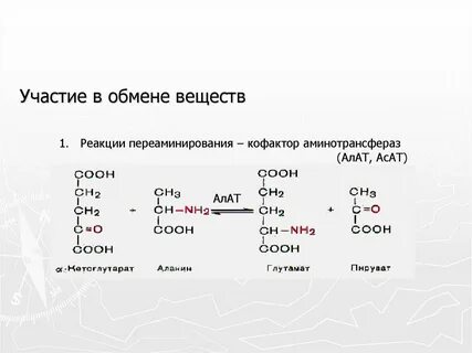 В каких реакциях участвует