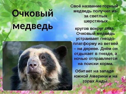 Медведь ударение