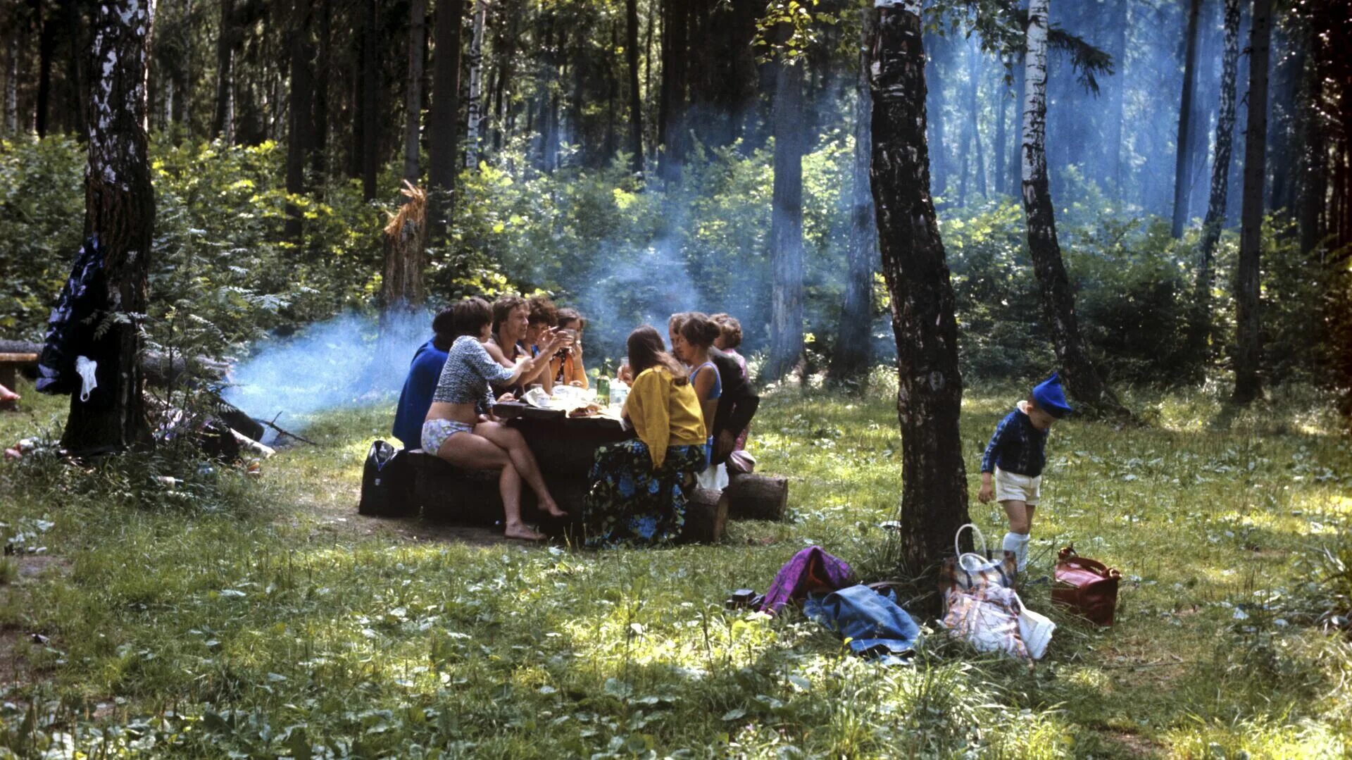 Пикник нападение. Пикник в лесу. Поход в лес. Место для пикника в лесу. Люди на отдыхе в лесу.