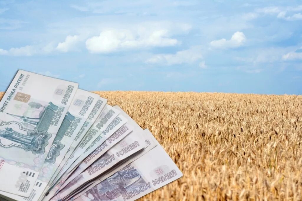 Кредитование сельского хозяйства. Деньги аграрии. Успешный фермер. Субсидии сельское хозяйство. Субсидии сельское хозяйство.