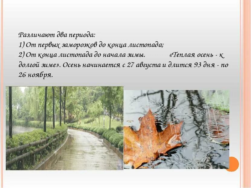 Закончится листопад. Конец листопада. листопад начало и конец. конец листопада у лип. окончание листопада у липы.