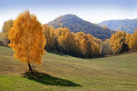Октябрь башкортостан