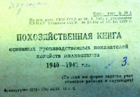 Постановление о электронной похозяйственной книге
