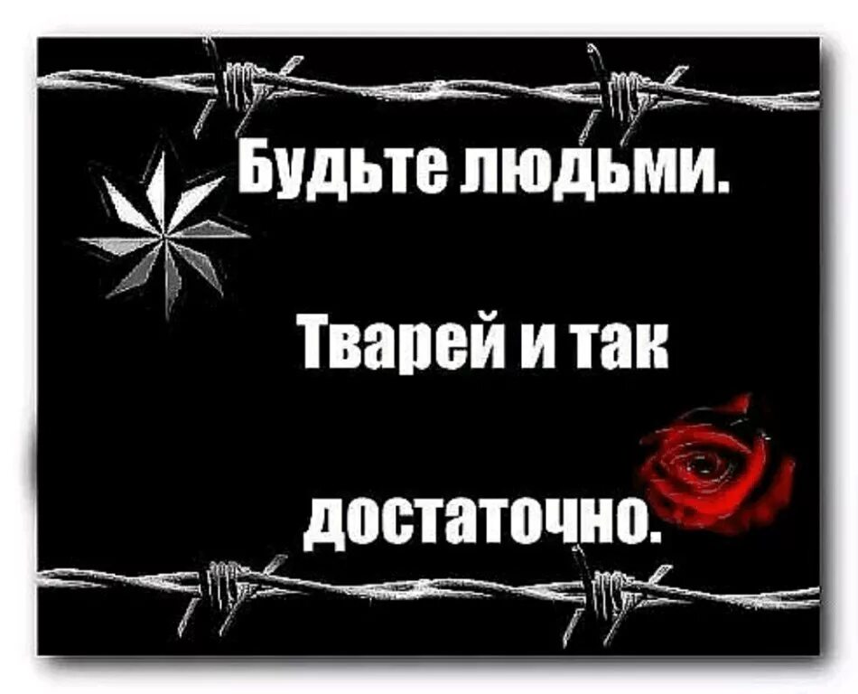 Народ есть людей нет. Статусы блатных людей. Блатные цитаты со смыслом. Блатные статусы про жизнь.