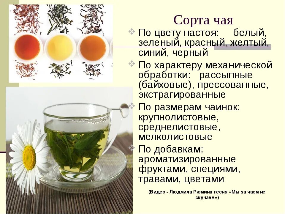 Чай сорта и виды. Виды чая. Цветовые разновидности чая. Какие виды чая бывают. Сорта чая бывают.