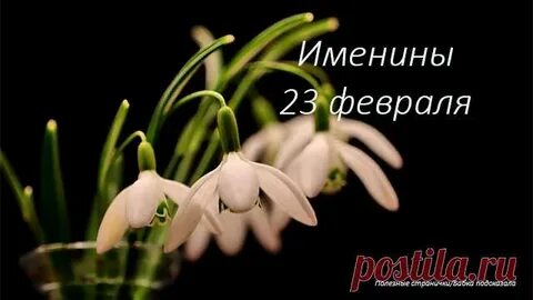 Именины 23 августа