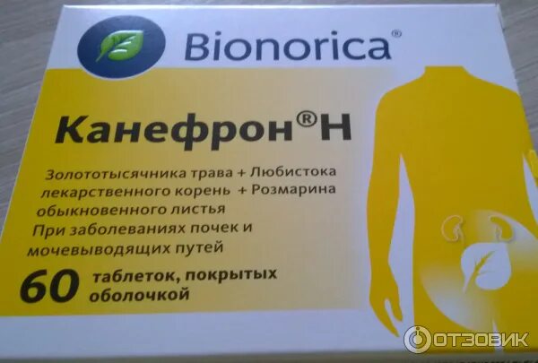 Канефрон вместе с. Канефрон вместе с