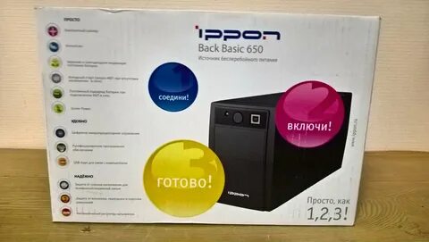 Back basic 650