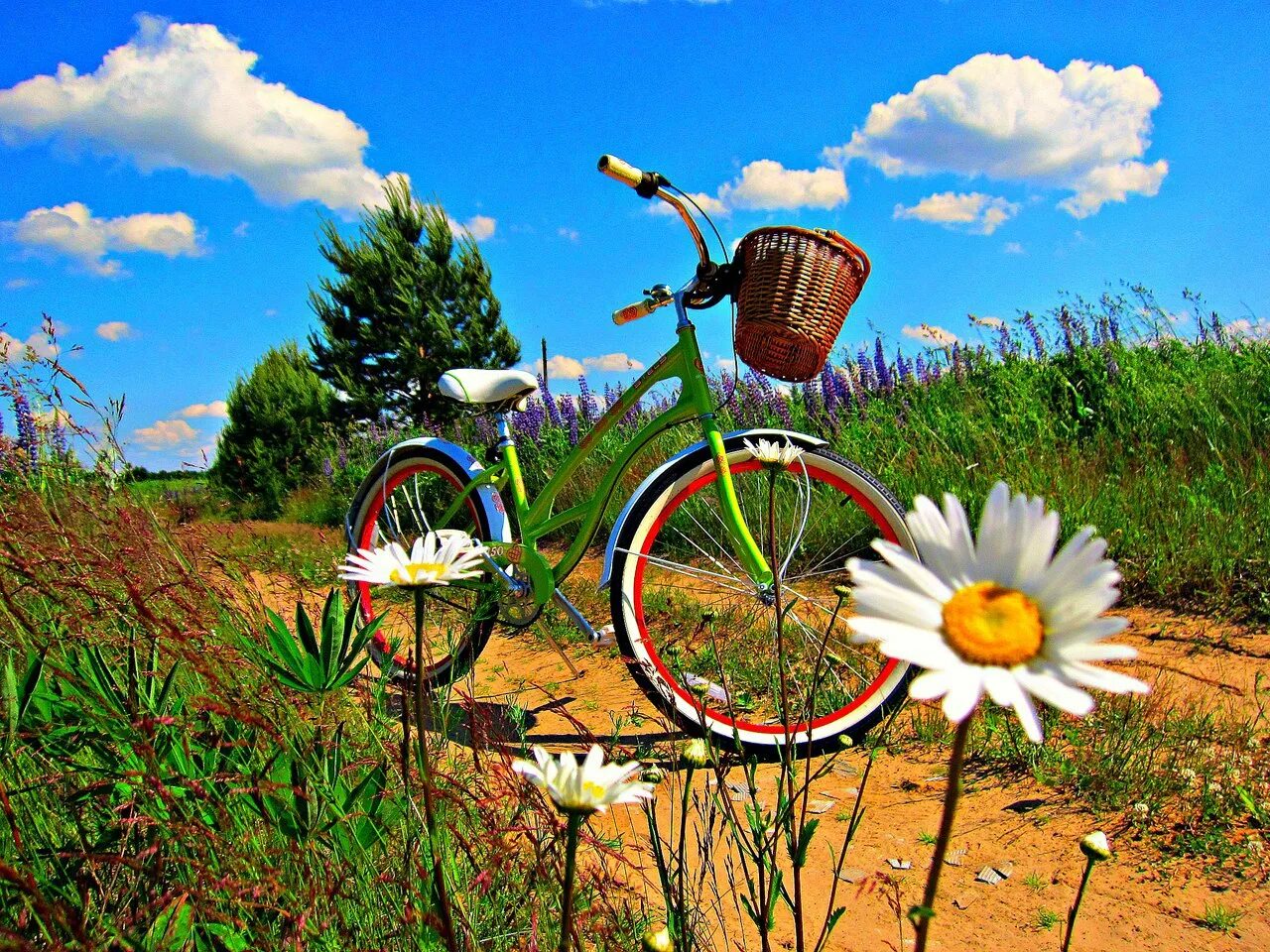 Гнать велосипед. Буду долго гнать велосипед. Велосипед в поле с цветами. Я буду долго гнать велосипед фото.