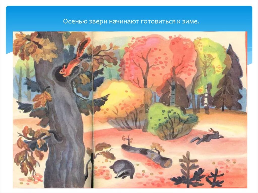 Звери и птицы готовятся к зиме. Животные готовятся к зиме. осенью животные готовятся к зиме. осень звери готовятся к зиме. осень звери и птицы готовятся к зиме.