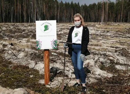 Гку пермское управление лесничествами