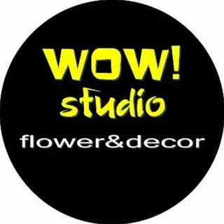 Wow studio