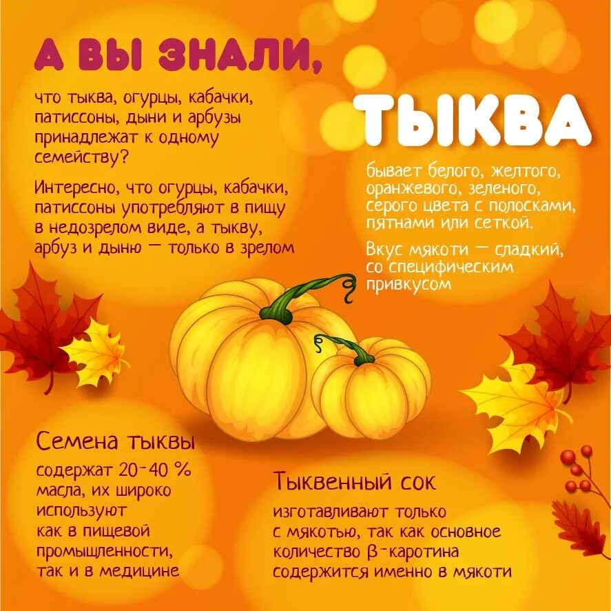 Со скольки можно тыкву. Стишки про тыкву. стих про тыкву. интересные факты о тыкве. загадка про тыкву.