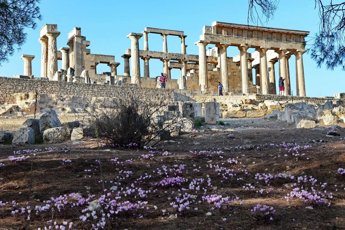 храм афины на острове эгина. храм на острове эгина. храм афины афайи.