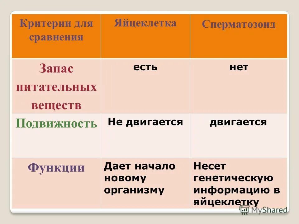 Запас питательных веществ яйцеклетки. Запас питательных веществ сперматозоида. Сравнительная характеристика половых клеток. Запас питательных веществ сперматозоида и яйцеклетки.