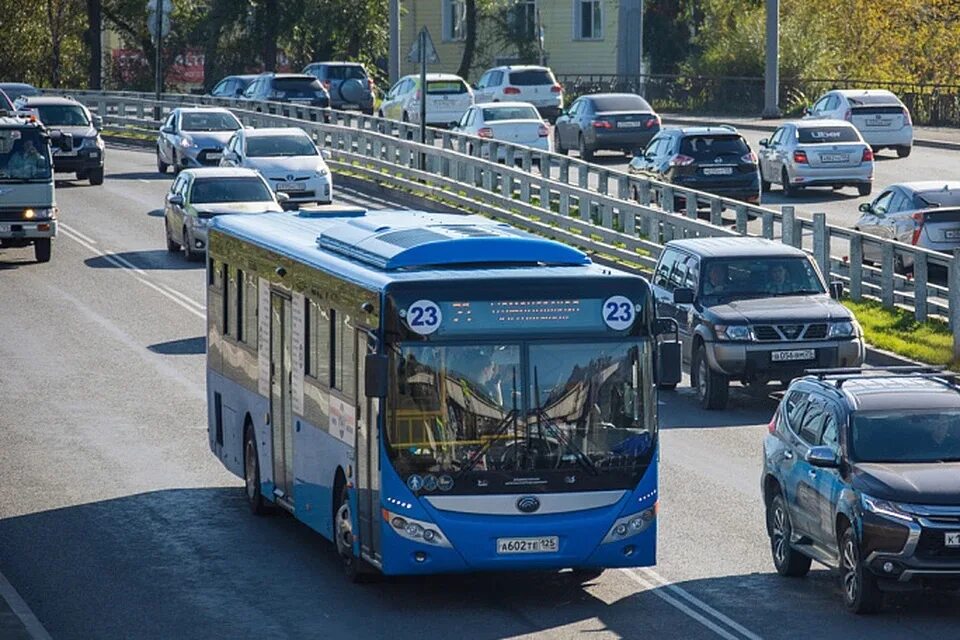 Транспорт автобусы владивосток. Транспорт Владивосток. Общественный транспорт Владивостока. Владивостокский автобус. Выделенная полоса для автобусов.