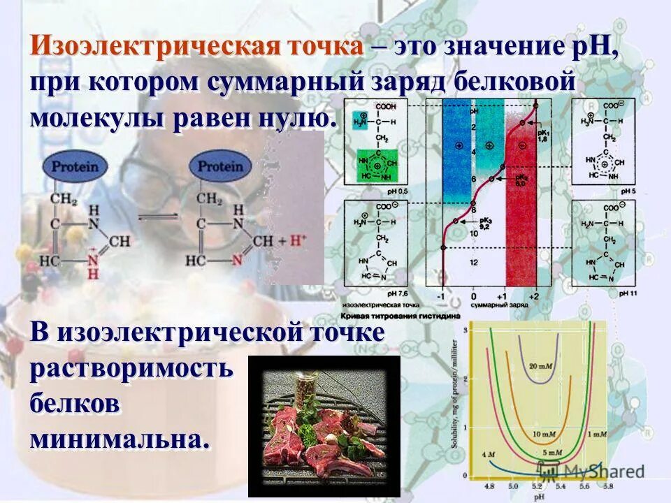изо электрическая точна. суммарный заряд молекулы. изрэлектрическас иовка. молекула аминокислоты. суммарный заряд молекулы.