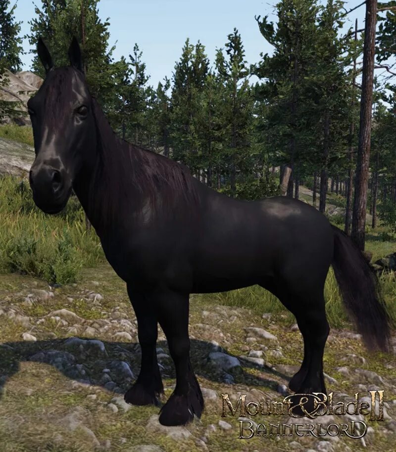 Mount and blade 2. Дестрие конь моунт анд бладе. Mount and blade 2 лошади. Mountain blade bannerlord. Mount and blade 2 bannerlord лучшая лошадь.