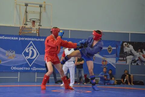 Турнир динамо