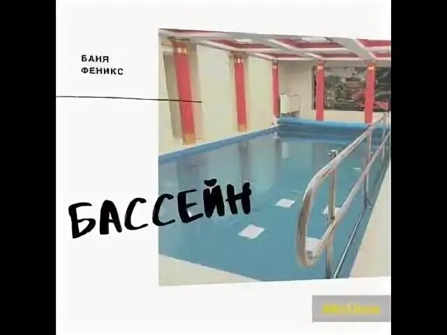 Феникс дмитров