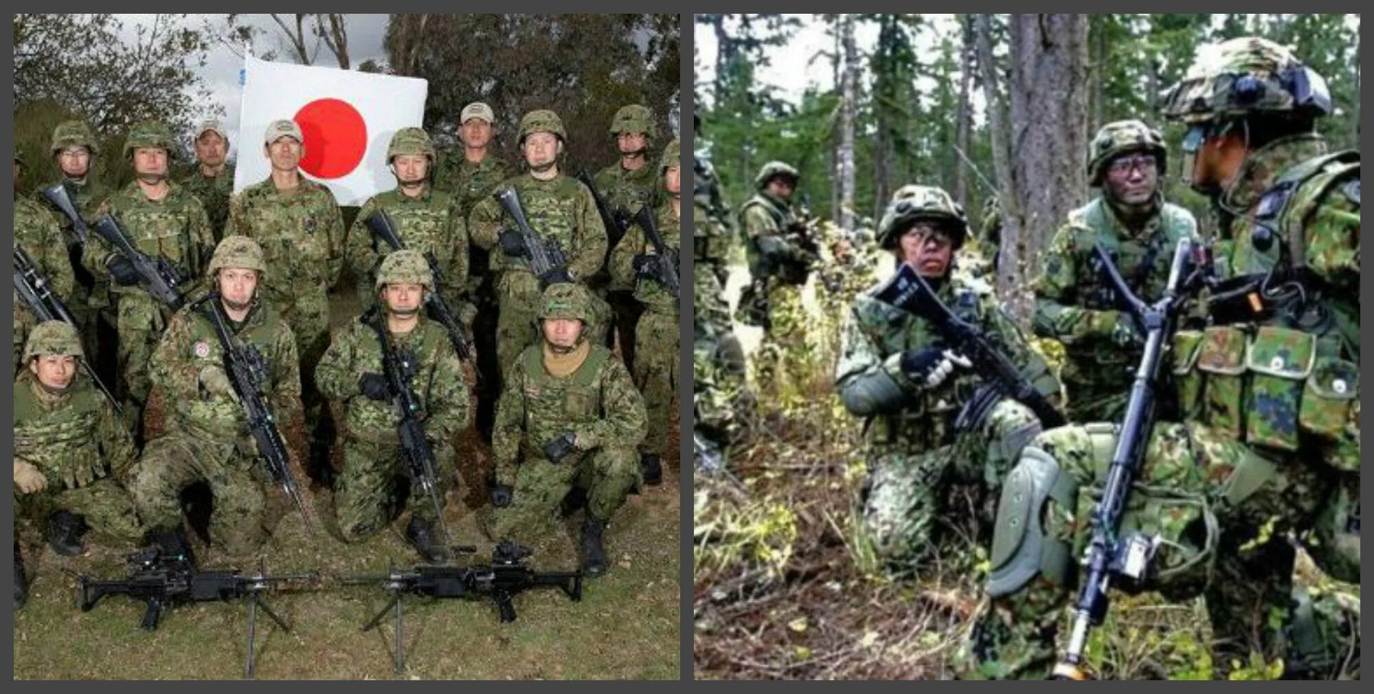 Группа сил специального назначения Японии. Японский спецназ и русский. Силы специальных назначений Японии. Японский спецназ передача инфо.