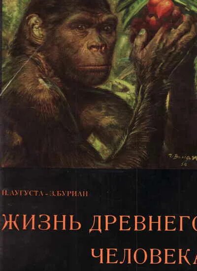 История древнего человека читать. Описание древних людей. Древние и древнейшие люди. Облик древнего человека. Сообщение о первобытных людях.