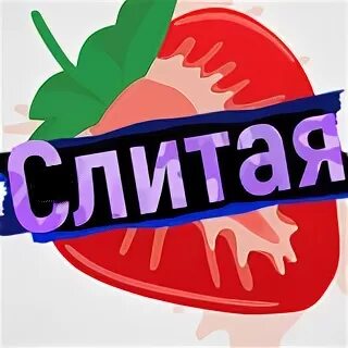 Тклеграмм