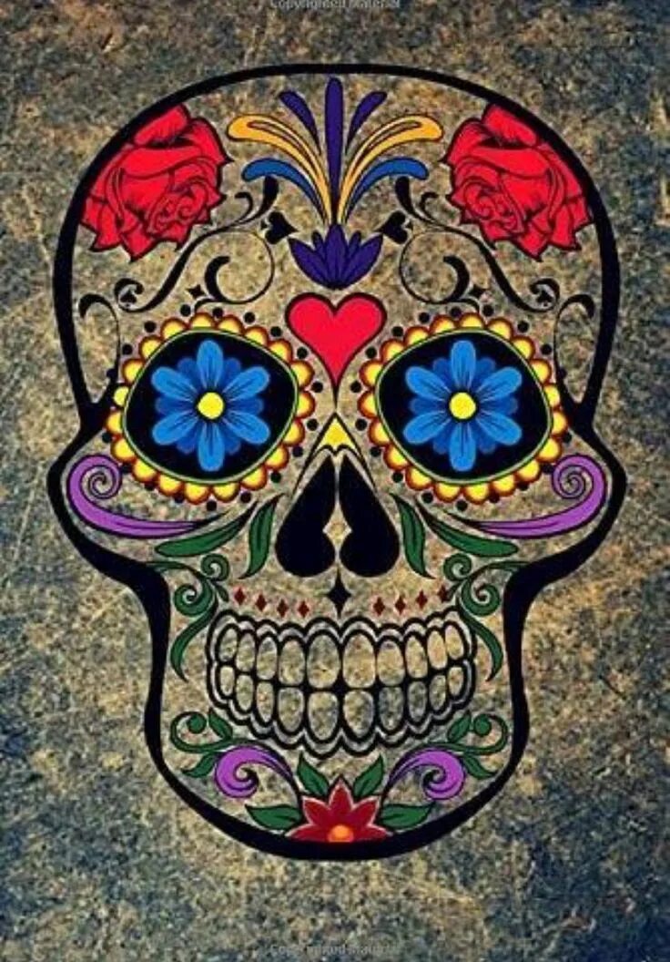Skull 18