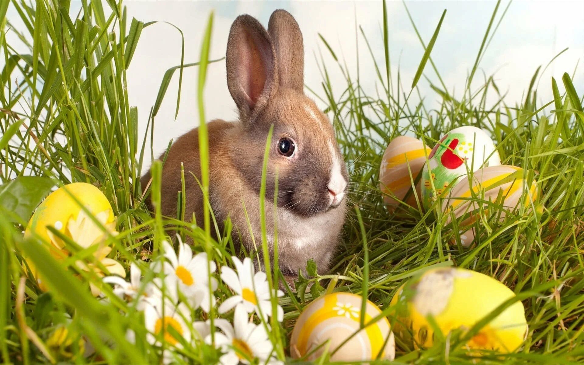 Символы пасхи пасхальный кролик. Пасхальный кролик Ostern. Пасхальный заяц. Пасхальный зайчик. Пасхальные Зайчата.