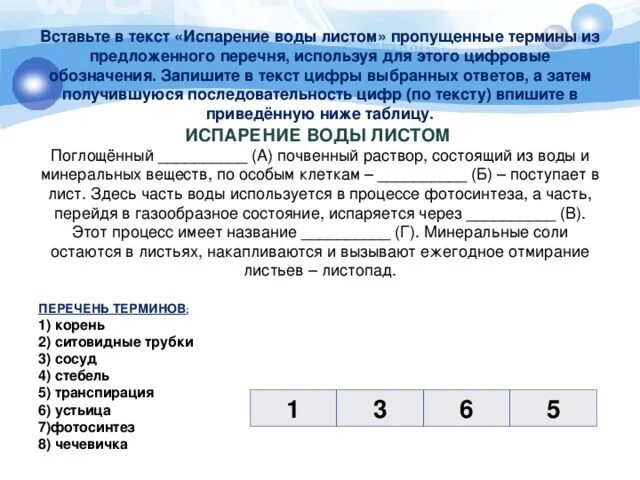 Выберите все подходящие ответы из списка