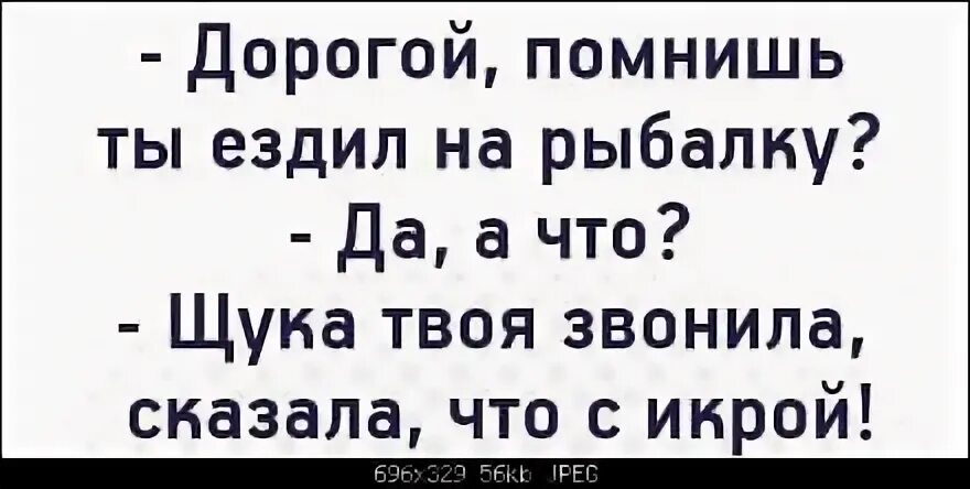 Звонила твоя щука сказала. Звонила твоя щука сказала что с икрой. Звонила щука сказала что с икрой. Анекдот твоя щука звонила.