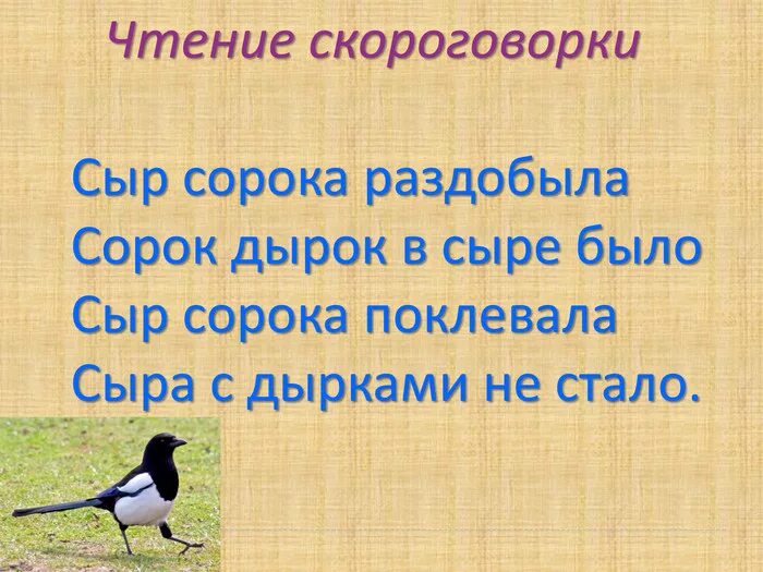 Скороговорки про ворон. Скороговорка про сороку. Скороговорки про сорок. Скороговорка про сороку для детей. Сорок сорок скороговорка.