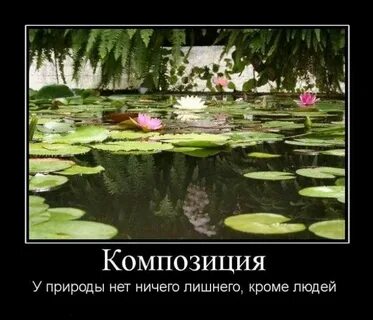 В природе нет ничего