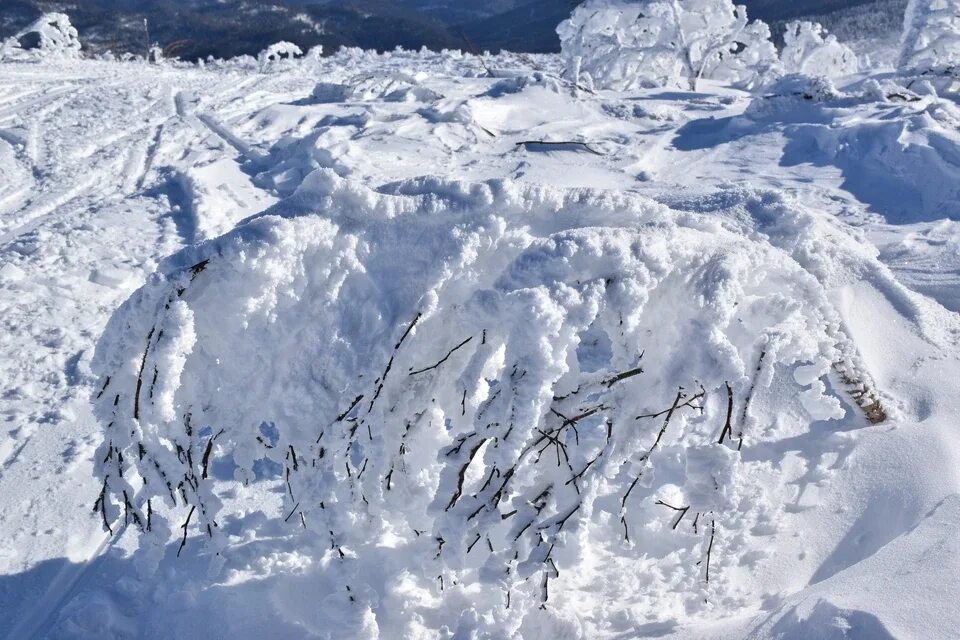 Снежные лавины районы. Сахалин снегопад 2022. Снежные лавины Сахалин. Снег на Сахалине. Сахалин горы снег.