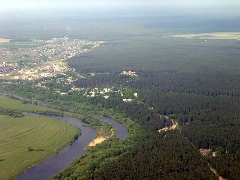 Солотча Рязань. Поселок Солотча. Поселок Солотча Рязанская область. Солотчинский лес Рязань.