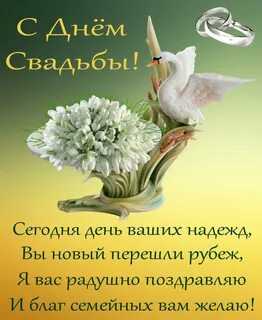 Стихи с днем свадьбы красивые короткие поздравления
