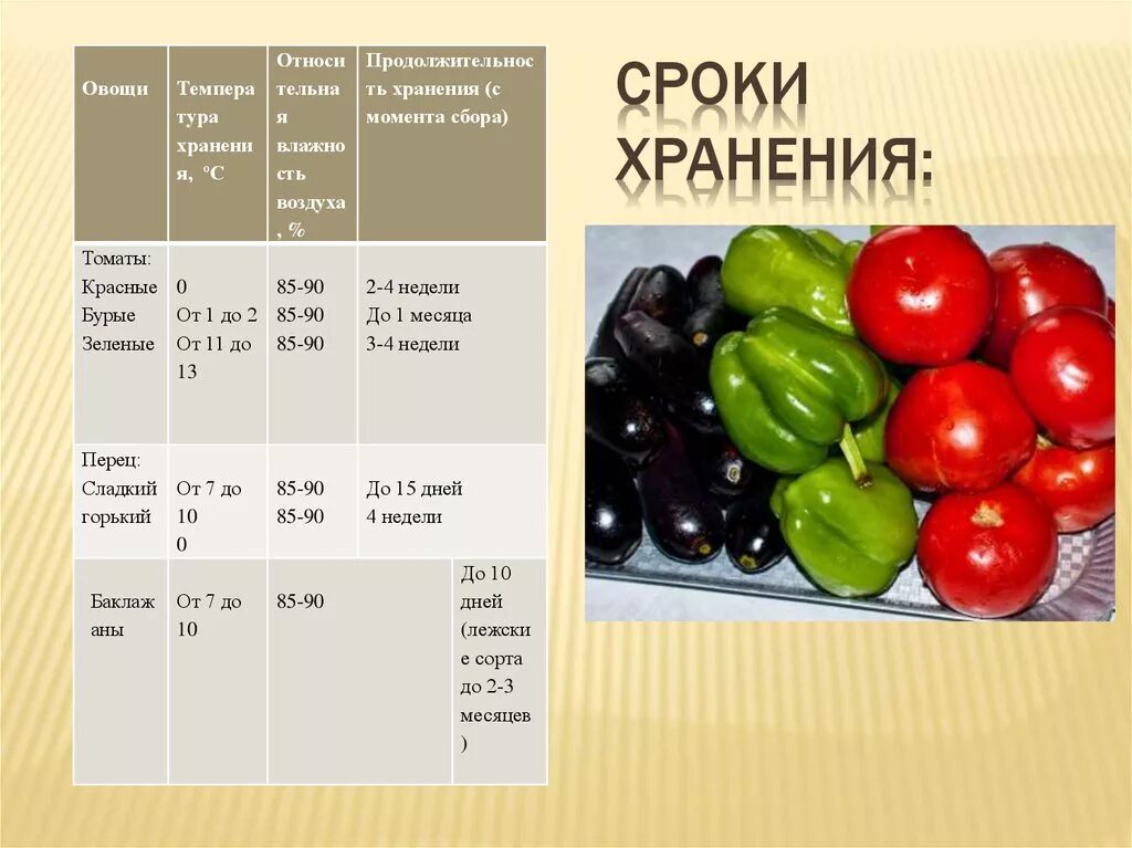 Требования к качеству свежих плодов и овощей. Требования к качеству плодовых овощей. Сроки хранения свежих овощей. Срок годности перец болгарский. Показатели качества овощей