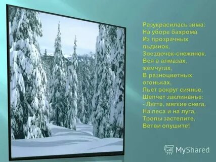 Зима обрядила сосны