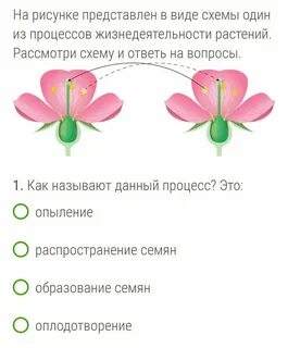 Как называют процессы жизнедеятельности растений